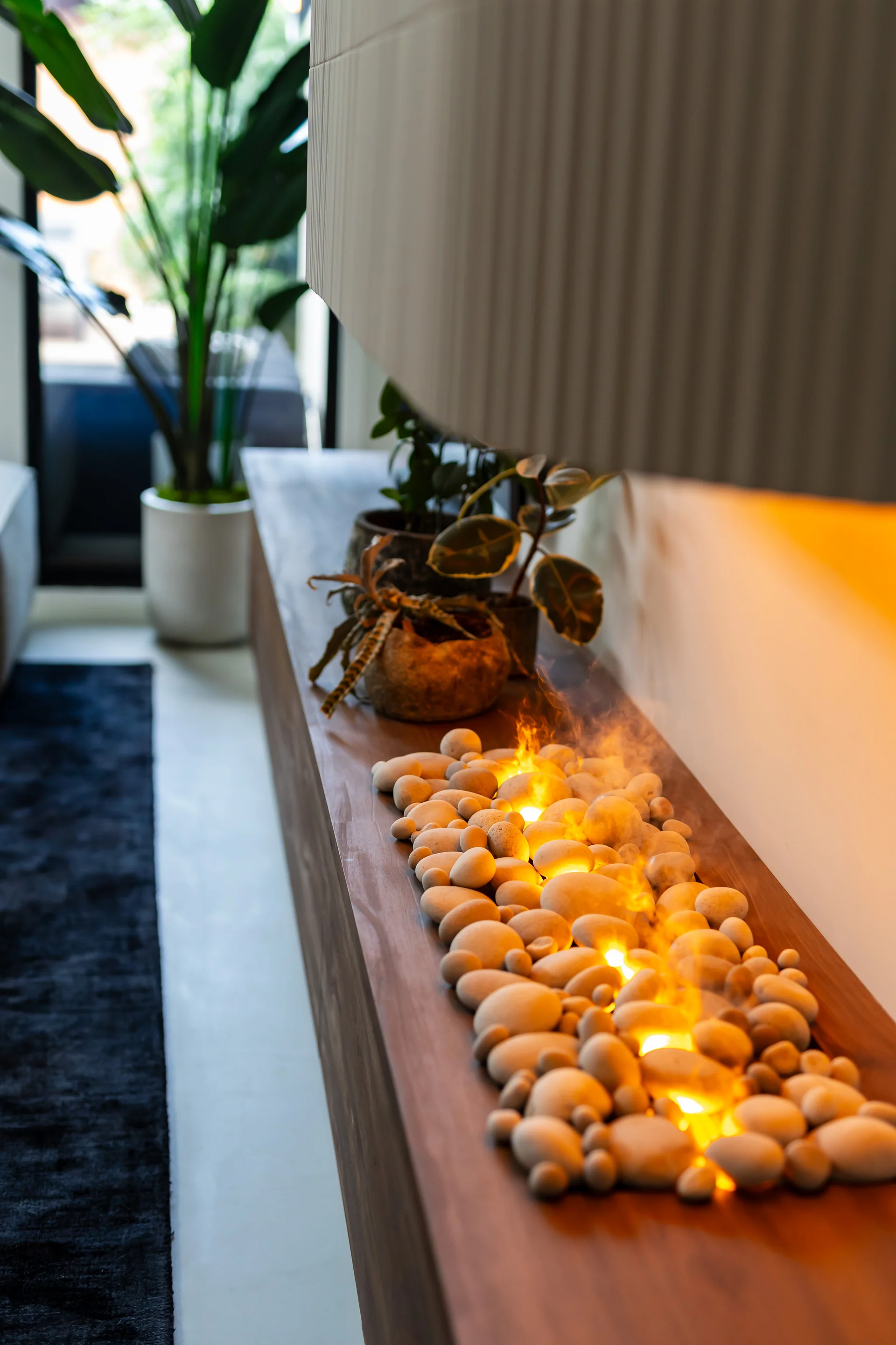 Projet Butternut, photo 79